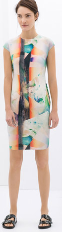 Zara Printed Dress