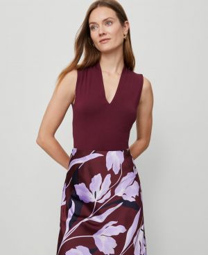 open lace back dress Buy Afrozeh Chiffon Dress in Purple Color Online  Nameera by Farooq